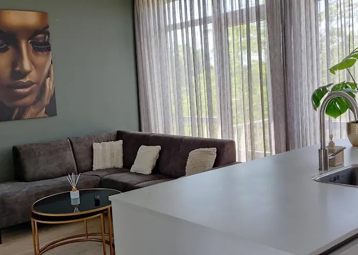 H 4p Free Public Parking Apartment Eindhoven